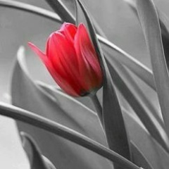 Алия Канапьянова, 16.03, Астана