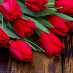 Ксенья Фиона, 01.01, Одесса