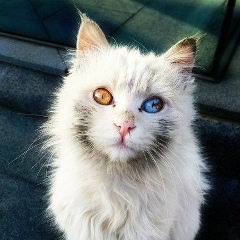 При Жизнь, 24.11, Москва