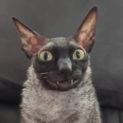 Доск Такой, 18.04