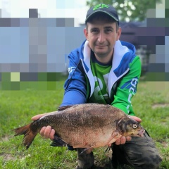 Денис Солдатенко, Рогачев