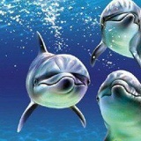 Зоя Москаленко, 10.12, Винница