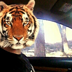 Ярик Железный, 21.06, Харьков