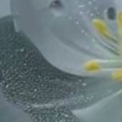 Mendi Kalabay, Жанаозен