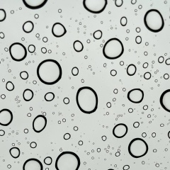 Александр Смирнов, Санкт-Петербург