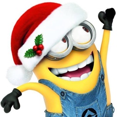 Дима Ромашко, Boston