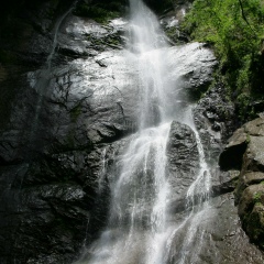 Гаяне Мамулашвили, 26.11, Минск