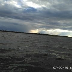 Григорий Зак, 07.04, Санкт-Петербург