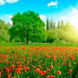 Леночка Марченко, 01.06.1987, Одесса