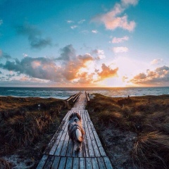 Ігор Кураш, 19.01