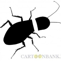 Александр Родионов, 09.12.1982, Санкт-Петербург