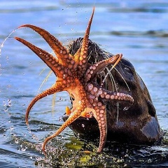 Жанара Бердияр, 31.05.1995, Астана