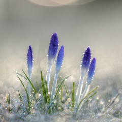 Сергей Дмитриев, 14.06.1983, Санкт-Петербург