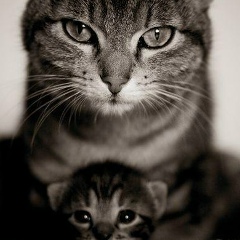 Anastasya Myasnikova, 10.01, Москва