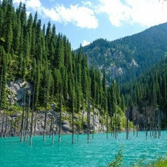 Разима Шамгун, 18.07, Алматы