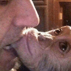 Айжан Ошурахунова, 01.06, Brno