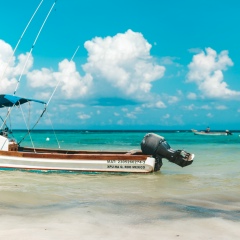 Дмитрий Грищак, 23.01, Москва