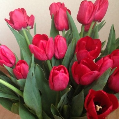 Алла Сельцова, 13.10.1984, Нижний Новгород