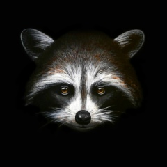 Kanat Khazhidinov, 10.06.1984, Алматы