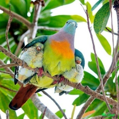 Мария Челидзе, 17.02, Санкт-Петербург