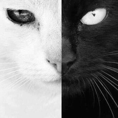 Александр Рыжов, 11.07.1985, Москва