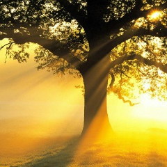 Христина Клос, 28.04, Львов