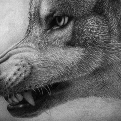 Валера Токарев, 03.11.1905, Москва