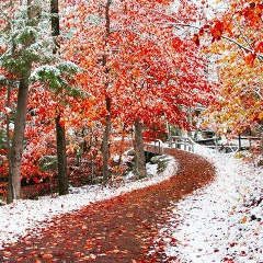 Оксана Шматкова, 21.04.1983, Челябинск