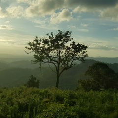 Aung Zayar, 16.06.1981, Singapore