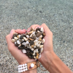 Дмитрий Логачев