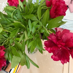 Яна Зарецкая, Москва