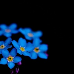 Есинья Никонова, 01.01, Казань