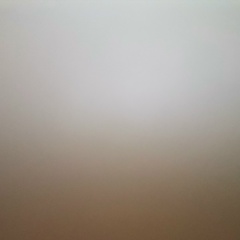 Елена Генералова, New York City