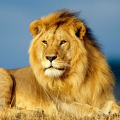 Юрий Поляшев, 22.07.1978, Нижний Новгород