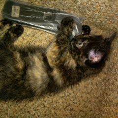 Людмила Инякина, 28.08, Братск