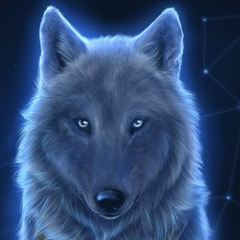 Vasia Sadovskiy, 14.05.1986, Washington, D.C.