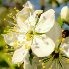 Людмила Сорокина, 06.03, Санкт-Петербург