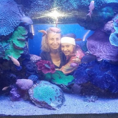 Александра Шлапак, Мурманск