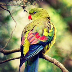 Сергей Решетняк, 11.09