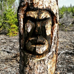 Василий Аркадьев, 20.05, Лекечен
