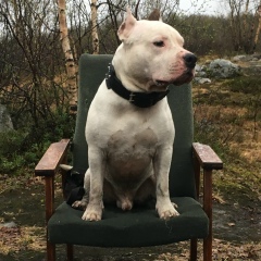 Никита Арсентьев, 22.07.1985, Мурманск