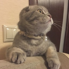 Екатерина Катерина, 01.10, Москва