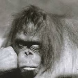 Евгений На, Москва