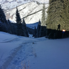 Влад Владиславов, 04.12.2000, Washington, D.C.