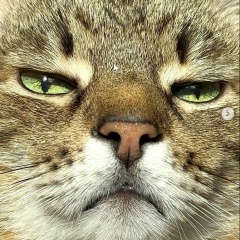 Roman Grunskiy, 06.04.1980, Москва