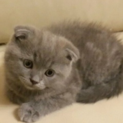 Виктория Загурская, 18.05, Киев