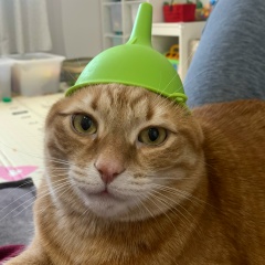 Мария Батурина, 20.09.1993, Лыткарино