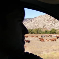 Kirill Ripper, 13.12