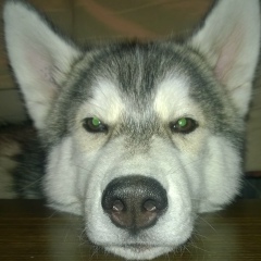 Тима Бородин, 15.06.1988, Москва