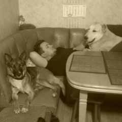 Паша Поляк, 20.10, Киев